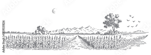 Vintage illustration of a cornfield stretching towards distant mountains under a crescent moon.