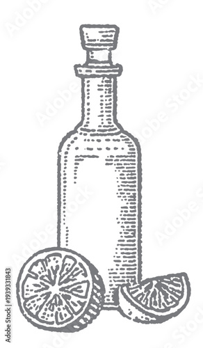 Vintage illustration of a glass bottle with citrus slices, evoking artisanal beverages and fresh ingredients.