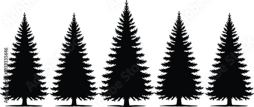 Set of flat green deciduous tree icons and black spruce pine tree silhouettes isolated on a white background for landscape design.