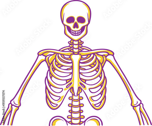 X Ray Medical Examination Concept. X Ray Diagnostic Imaging Concept. Medical X Ray Scan Illustration. X Ray Radiology Examination Concept. Hospital X Ray Imaging Concept. X Ray Diagnostic Healthcare