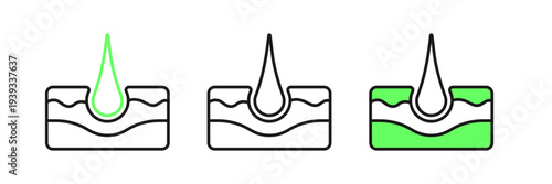 Set line Human hair follicle icon isolated on white background. Hair care treatment. Vector