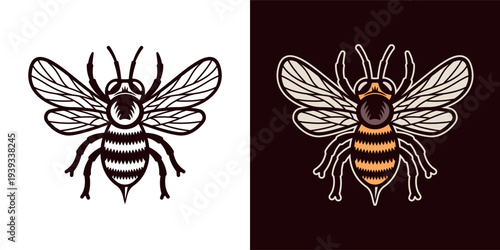 Vintage style honey bee vector illustration with detailed engraving lines. Perfect for beekeeping, honey branding, organic products, agriculture themes