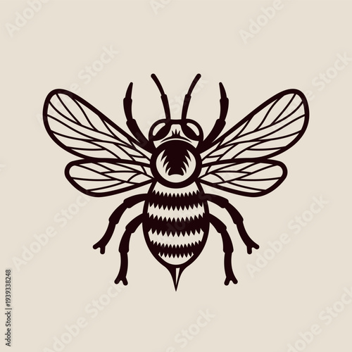 Vintage style honey bee vector illustration with detailed engraving lines. Classic black insect design on light background, perfect for beekeeping, honey branding, organic products, agriculture themes