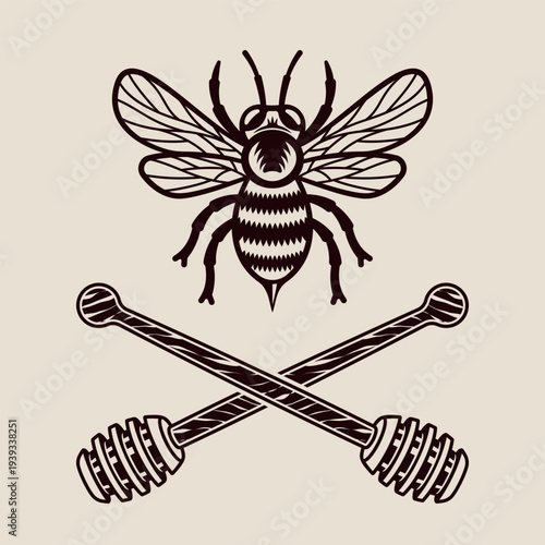 Honey bee and two crossed wooden spoons vector illustration with detailed engraving lines. Black insect design perfect for beekeeping, honey branding, organic products, agriculture themes