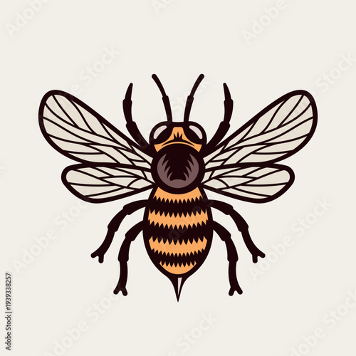 Honey bee vector illustration with detailed engraving lines. Classic black insect design perfect for beekeeping, honey branding, organic products, agriculture themes