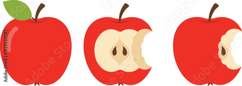 Apple eating progression vector, fruit consumption stages illustration, healthy food concept, cad drawing flat vector artwork for nutrition themes