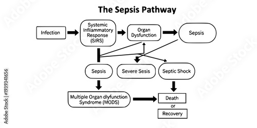 Systemic Inflammation Cytokine Storm Icon