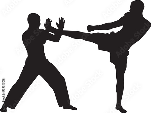 Martial Arts Fighting Silhouette Illustration