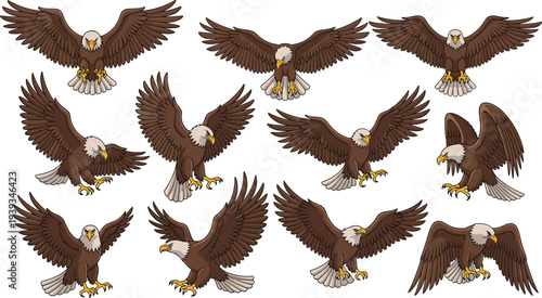 Cartoon bald eagle flying and landing poses, expressive motion set, animated wildlife concept, cad drawing flat vector illustration