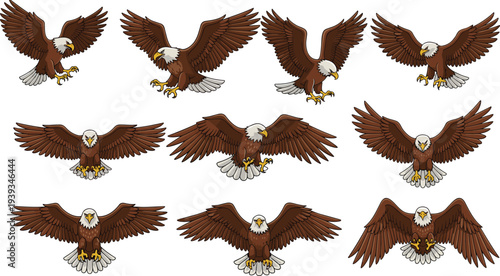 Cartoon bald eagle illustrations, flying and landing poses, dynamic wings, fierce expression, cad drawing flat vector illustration