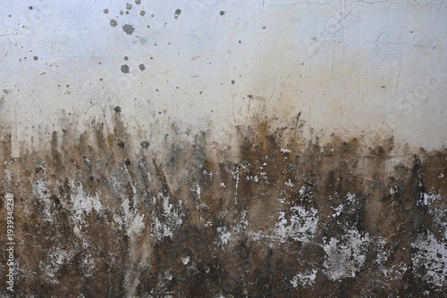 Moldy wall with brown stains and white spots