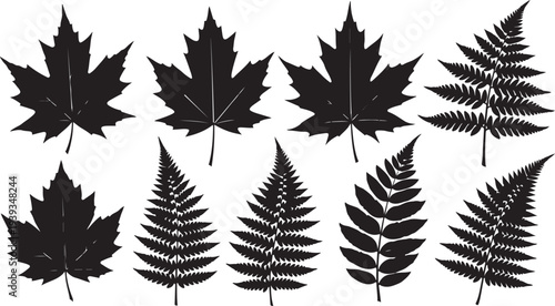 Cannabis leaves collection set isolated on white background vector illustration flat design