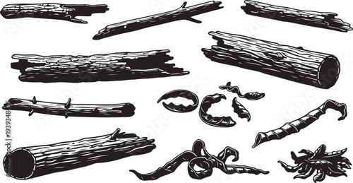 Collection of various sea creatures and corals underwater life set flat design vector illustration