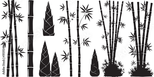 Set of various bamboo plants growing in black and white flat design vector illustration
