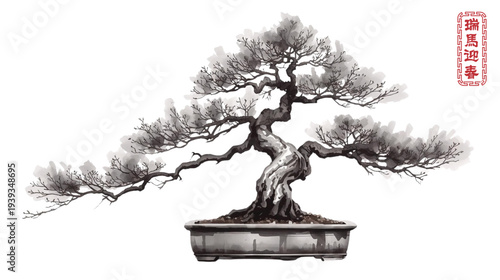 Bonsai Tree in Traditional Chinese Ink Wash Style with Ancient Characters on a Transparent Background