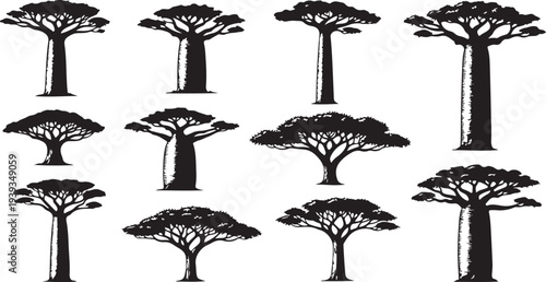 Set of nine baobab trees isolated black and white flat design vector illustration scalable graphic art