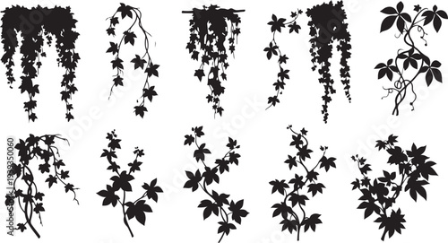 Hanging leafy green plants with varied shapes isolated on white background vector illustration