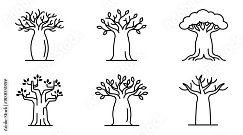 collection of baobab tree, minimal thin icon vector set , white background , PNG and SVG isolate