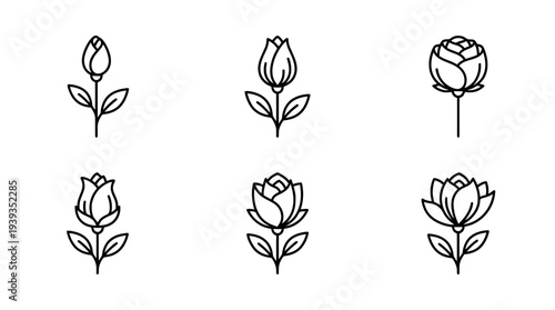 collection of budding flower, minimal thin icon vector set , white background , PNG and SVG isolate