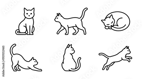 collection of cat, minimal thin icon vector set , white background , PNG and SVG isolate