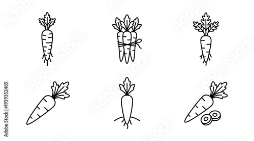 collection of carrot, minimal thin icon vector set , white background , PNG and SVG isolate