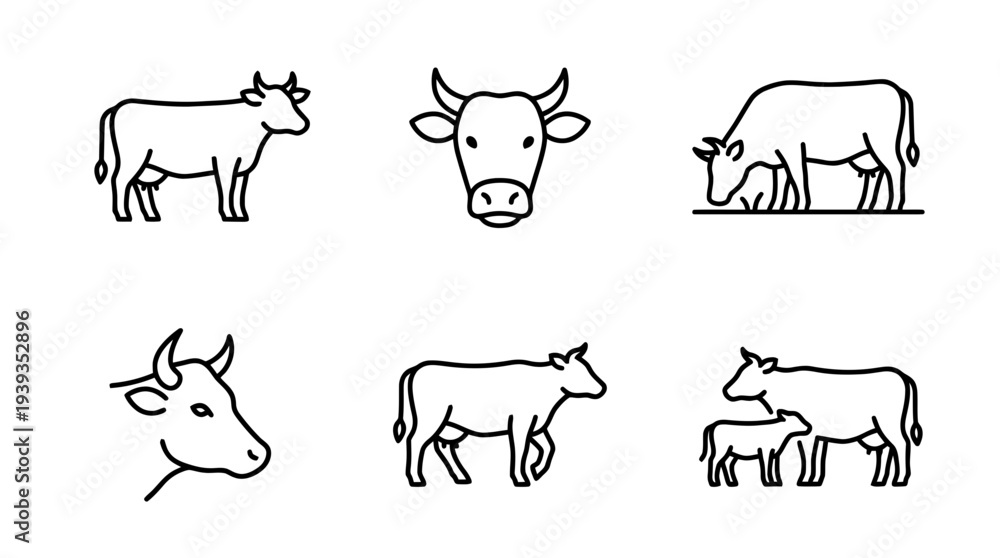 Obraz premium collection of cow, minimal thin icon vector set , white background , PNG and SVG isolate