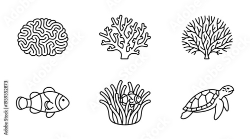 collection of coral reef, minimal thin icon vector set , white background , PNG and SVG isolate