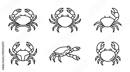 collection of crab, minimal thin icon vector set , white background , PNG and SVG isolate