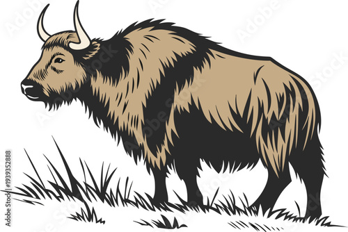 Yak Animal Mountain Wildlife Concept. Himalayan Yak Grazing Nature Scene. Yak Livestock Animal Illustration Concept. Mountain Yak Wildlife Nature Theme. Himalayan Yak Domestic Animal Farming Concept