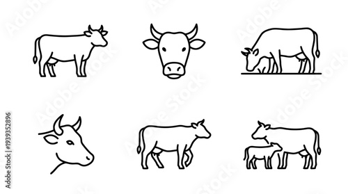 collection of cow, minimal thin icon vector set , white background , PNG and SVG isolate