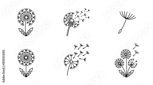 collection of dandelion, minimal thin icon vector set , white background , PNG and SVG isolate