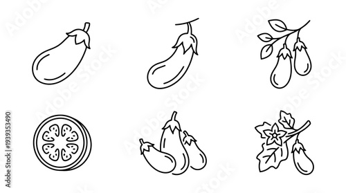 collection of eggplant, minimal thin icon vector set , white background , PNG and SVG isolate