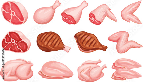 Raw and Cooked Chicken Meat Vector Set Featuring Drumsticks, Wings, Breasts, Whole Chicken, Steak Cuts and Grilled Poultry Isolated Food Illustration