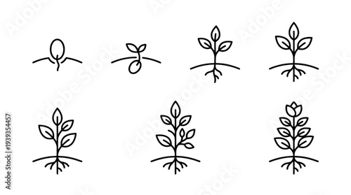collection of growth plant, minimal thin icon vector set , white background , PNG and SVG isolate