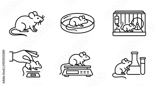 collection of laboratory mouse, minimal thin icon vector set , white background , PNG and SVG isolate