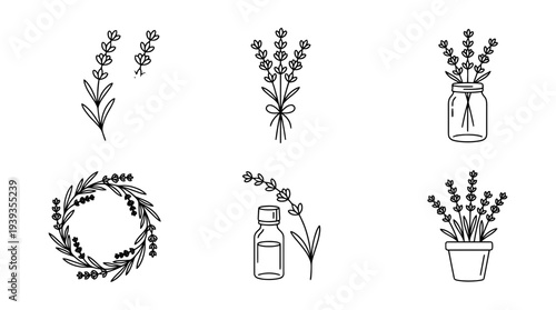 collection of lavender, minimal thin icon vector set , white background , PNG and SVG isolate