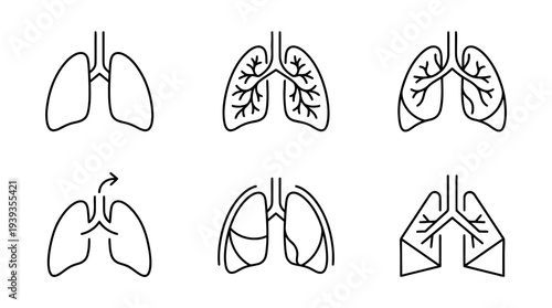 collection of lungs, minimal thin icon vector set , white background , PNG and SVG isolate
