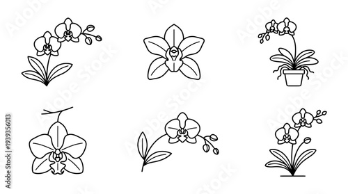 collection of orchid, minimal thin icon vector set , white background , PNG and SVG isolate
