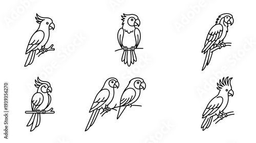 collection of parrot, minimal thin icon vector set , white background , PNG and SVG isolate