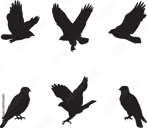 Six black raptor silhouettes including hawks and eagles in flight vector illustration