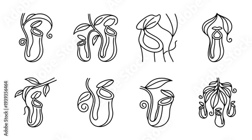 collection of pitcher plant, minimal thin icon vector set , white background , PNG and SVG isolate