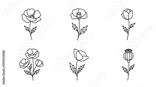 collection of poppy, minimal thin icon vector set , white background , PNG and SVG isolate