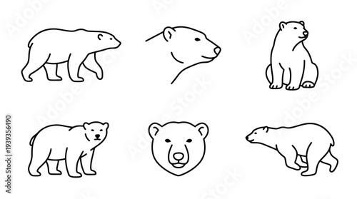 collection of polar bear, minimal thin icon vector set , white background , PNG and SVG isolate