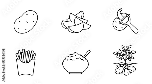 collection of potato, minimal thin icon vector set , white background , PNG and SVG isolate
