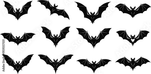 Bat silhouettes with wide wings spread, Halloween vector illustration, nocturnal animal design art for decoration and spooky culture themes