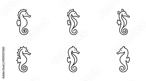collection of seahorse, minimal thin icon vector set , white background , PNG and SVG isolate