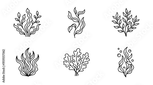 collection of seaweed, minimal thin icon vector set , white background , PNG and SVG isolate