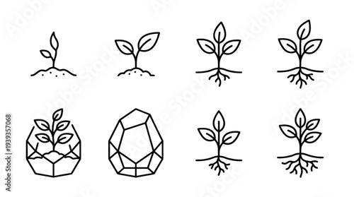 collection of seedling, minimal thin icon vector set , white background , PNG and SVG isolate