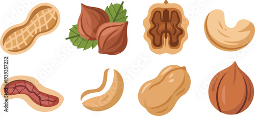 Healthy Nut Icons Set Peanut, Almond, Hazelnut, Walnut, and Cashew