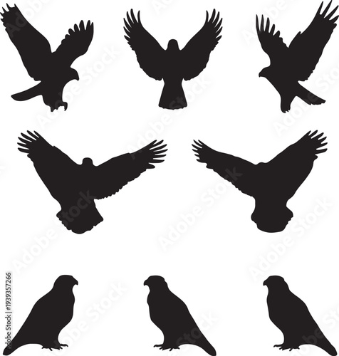 Six black raptor silhouettes including hawks vector illustration, flat design